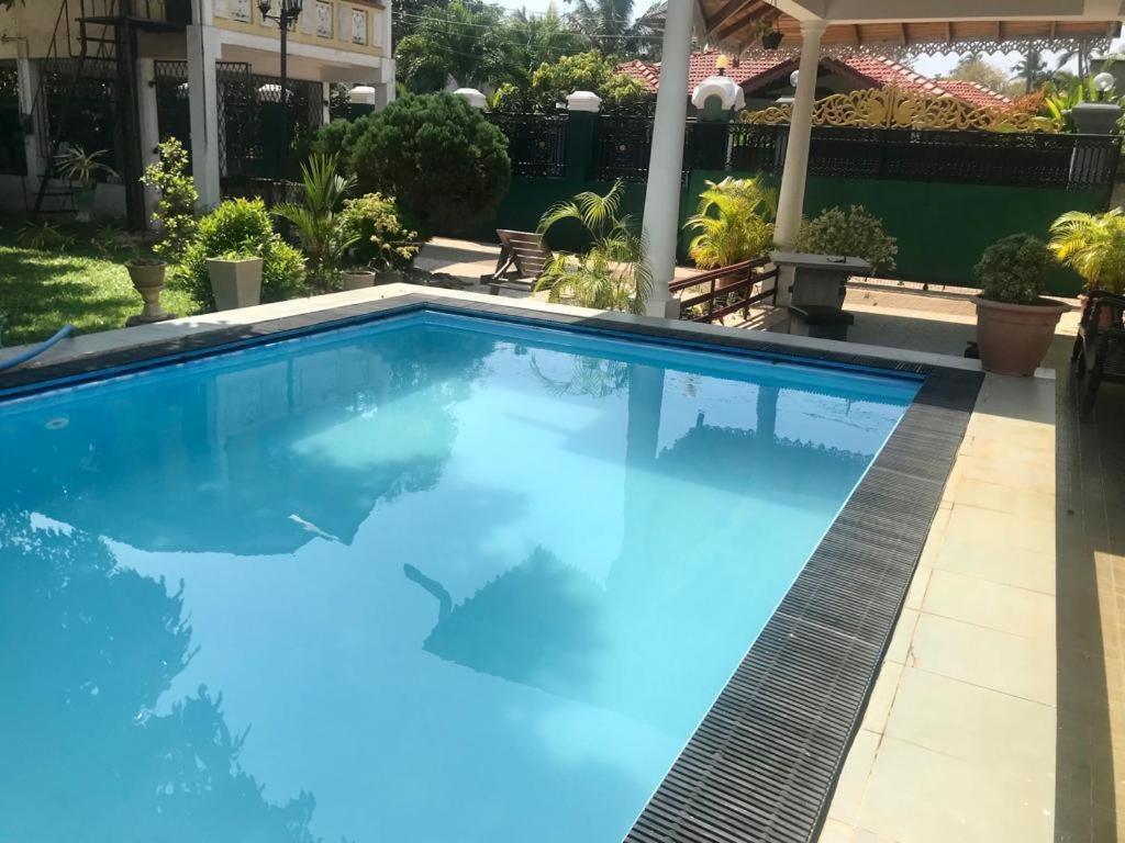 Kingz And Queenz - Negombo Exterior foto